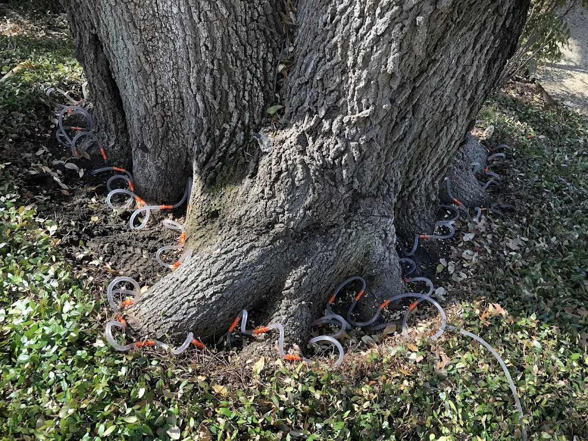 Detailed Shrub and Hedge Trimming job site in La Fontaine